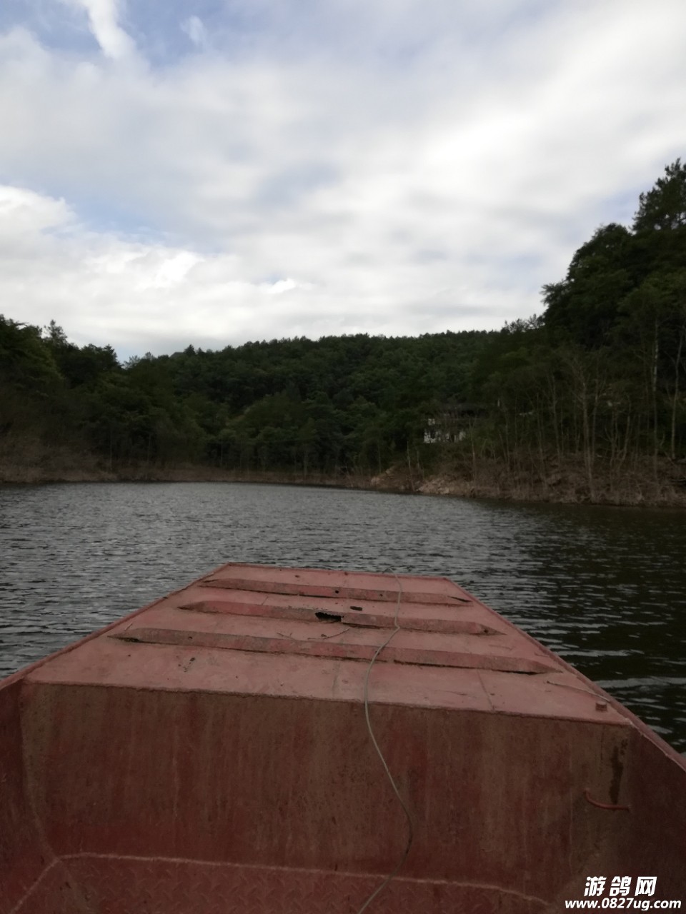 20190310_206988_1552192498429.jpg