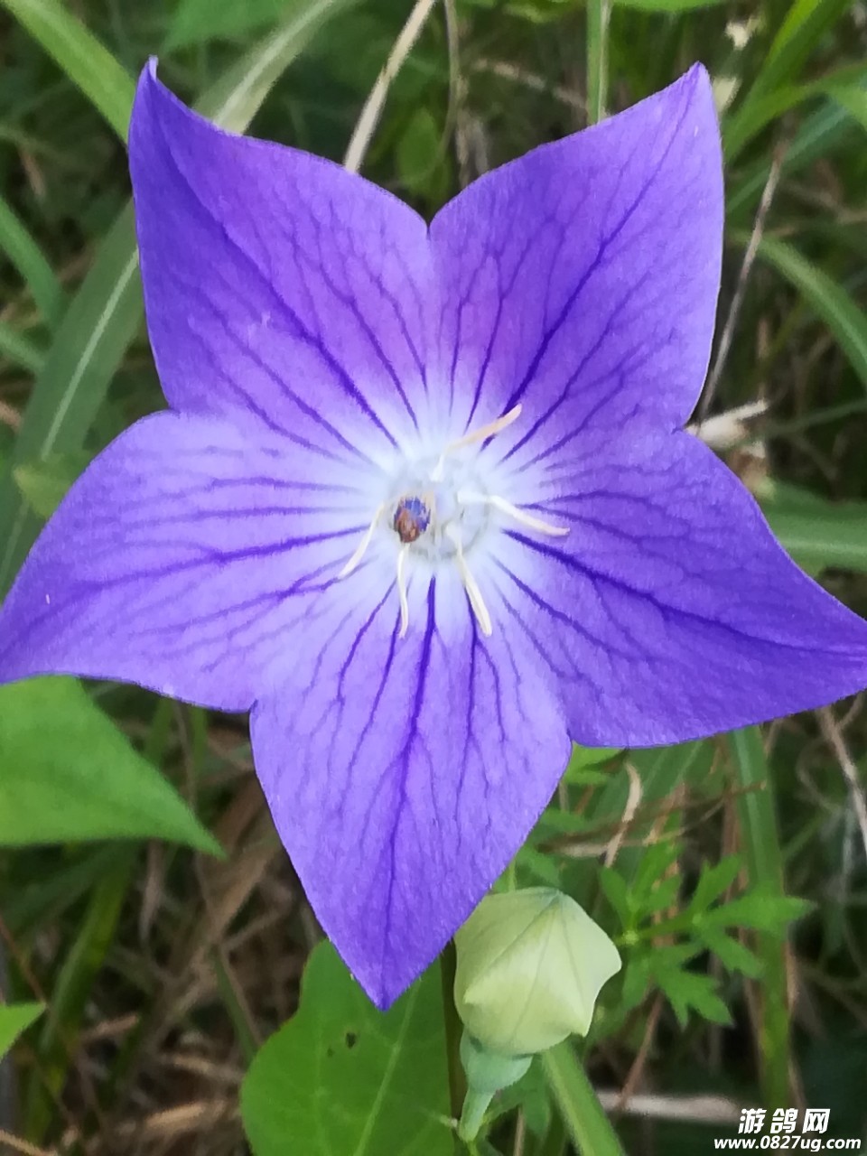 20190310_206988_1552192497658.jpg
