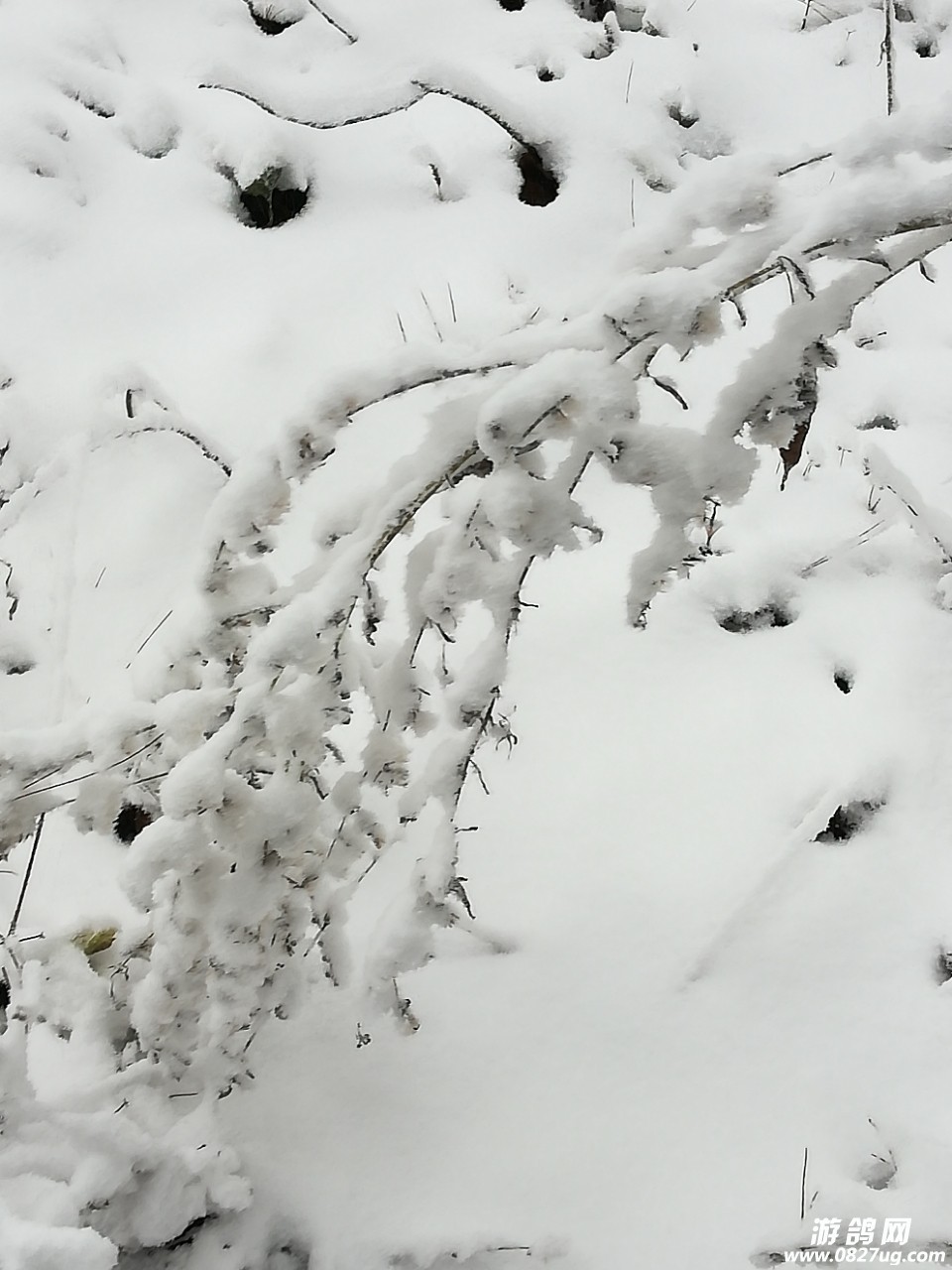20190314_206988_1552507810712.jpg