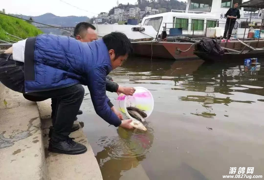 微信图片_20190319091109.jpg