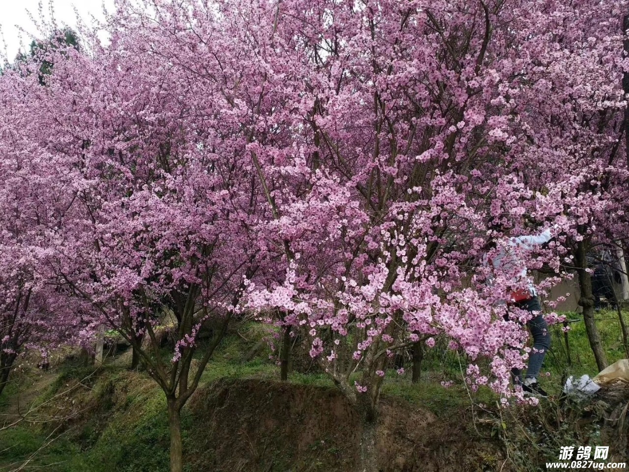 20190324_119649_1553390155256.jpg