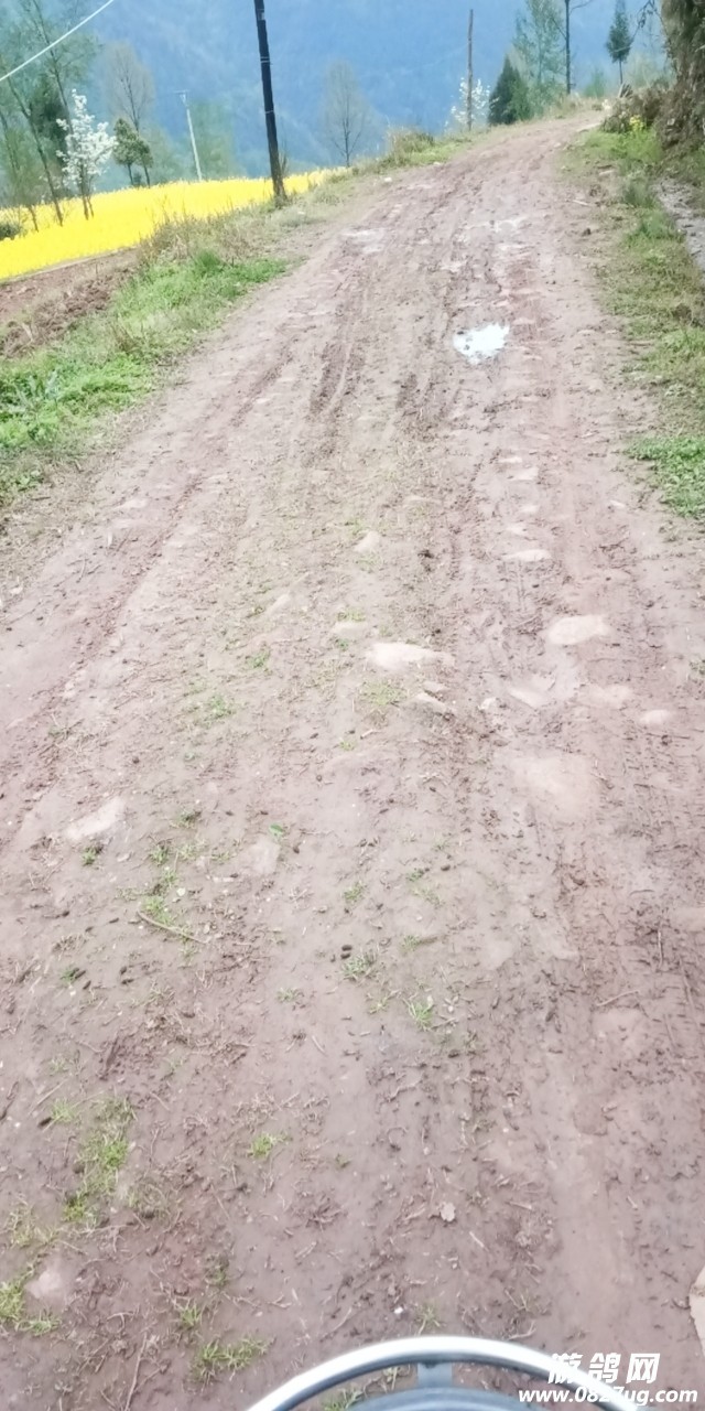 20190326_211793_1553575085225.jpg