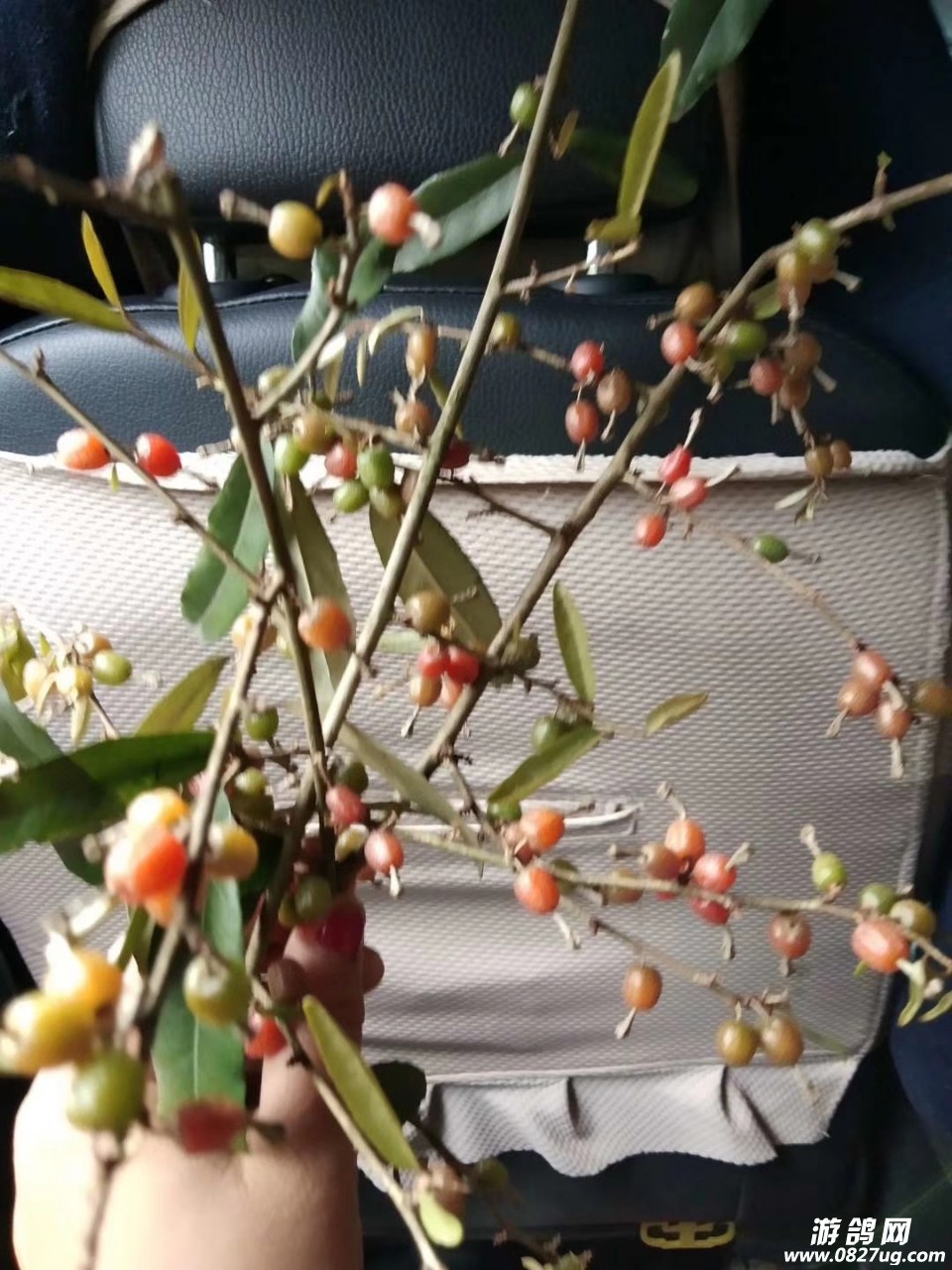20190330_119649_1553933030424.jpg