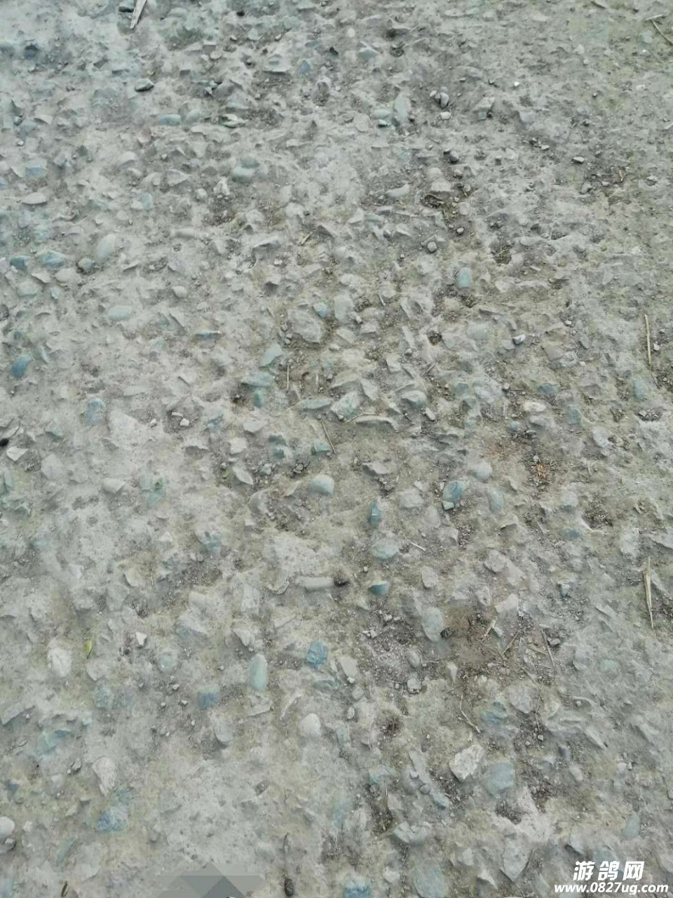 20190331_211981_1554016010117.jpg