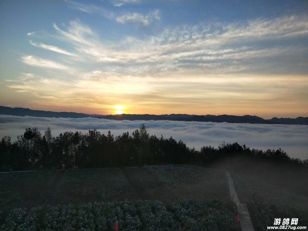 20190411_119649_1554976552729.jpg