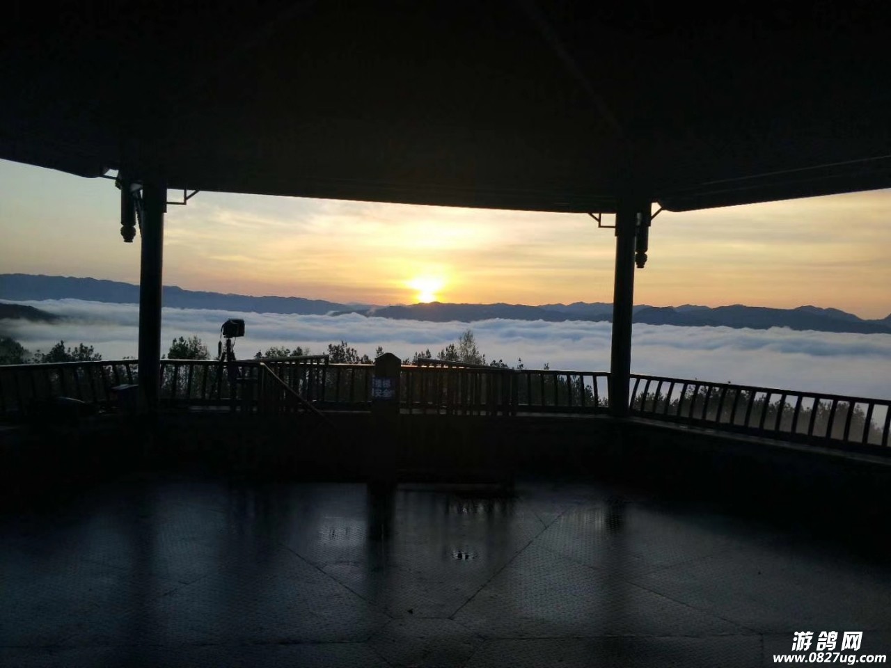 20190411_119649_1554976552927.jpg