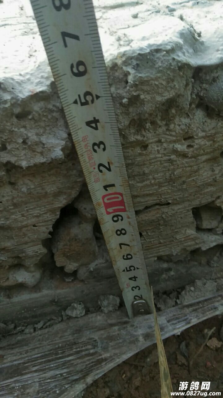 20190413_205067_1555134098588.jpg