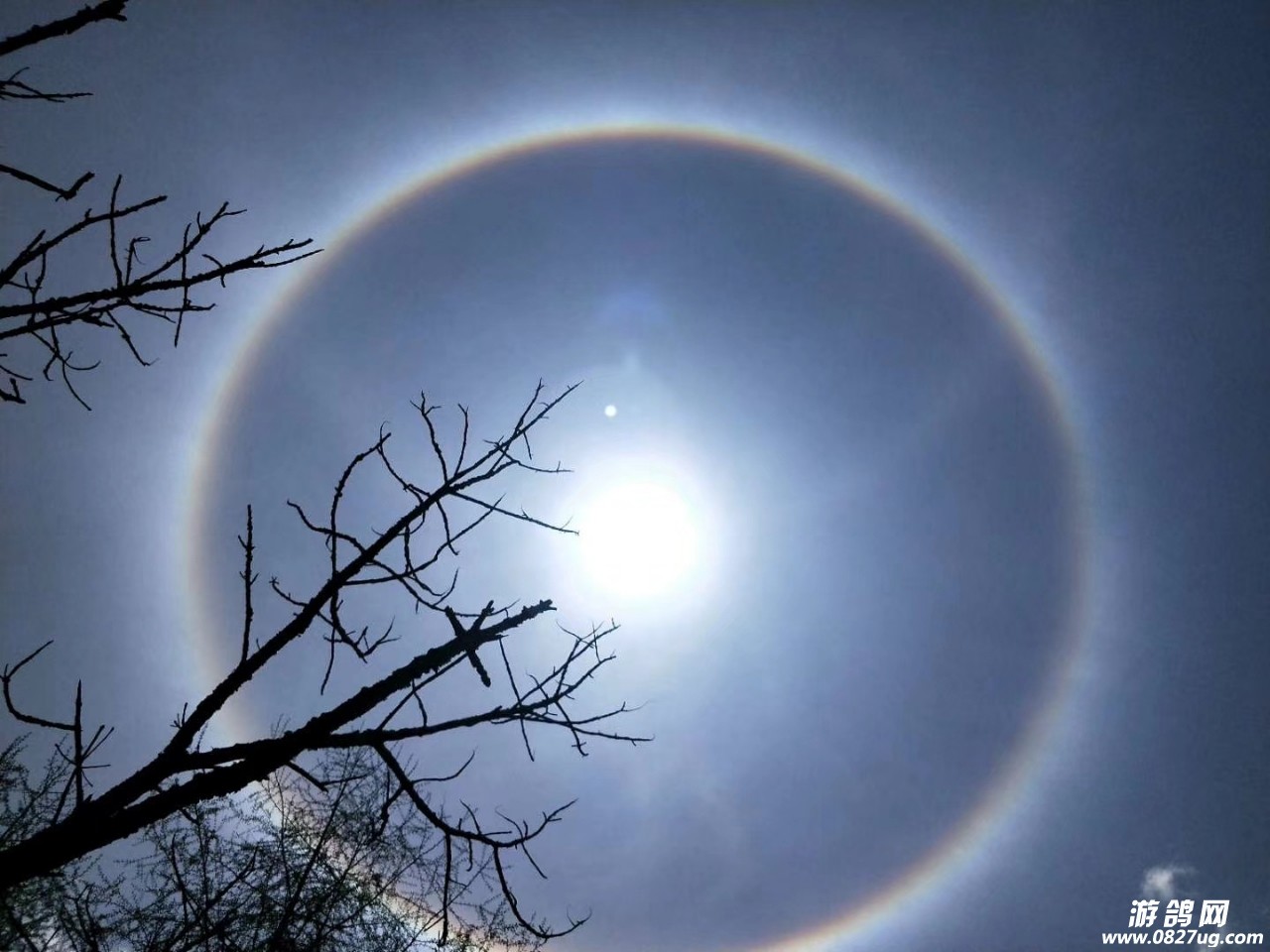 20190423_119649_1556024422692.jpg