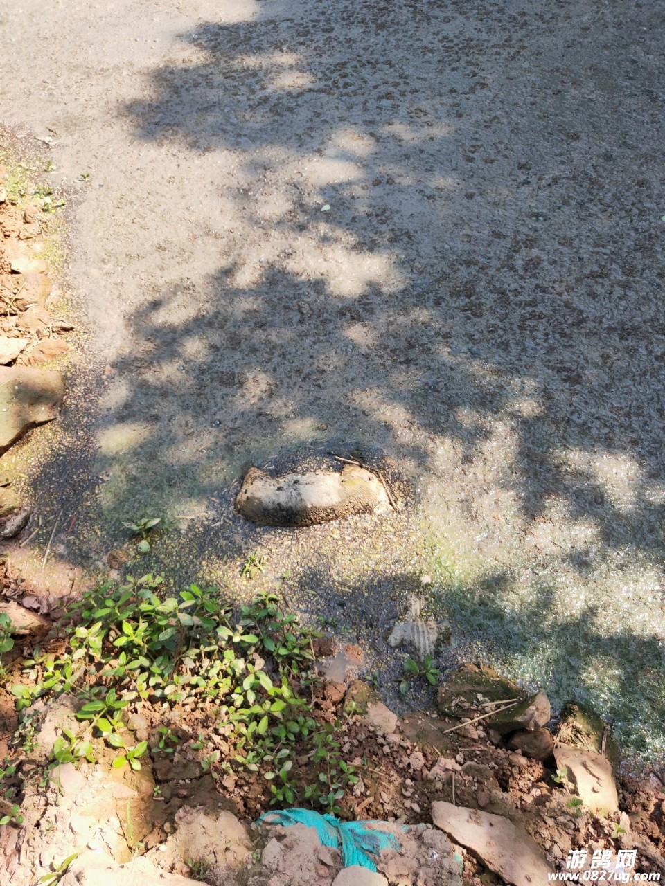 20190427_207453_1556354340321.jpg