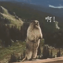 03.gif