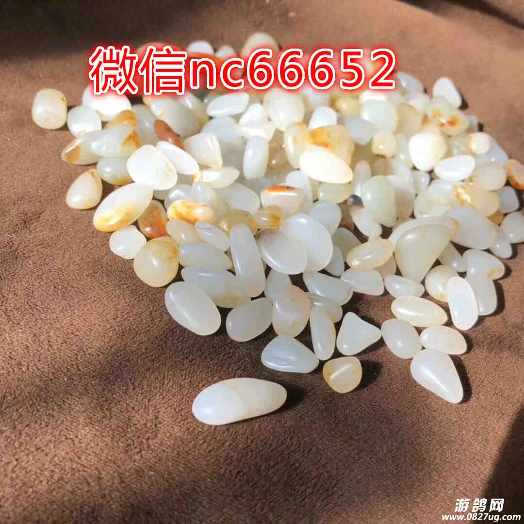 02.jpg