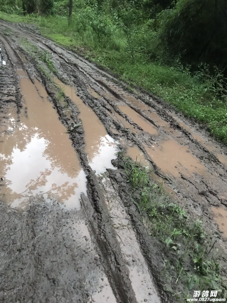 201906171942761560740221388404.jpg