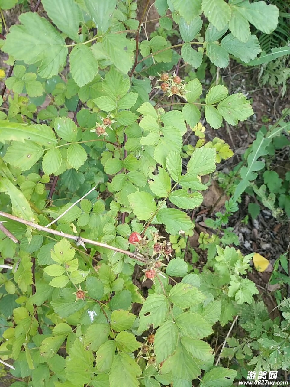20190618_165987_1560863979948.jpg