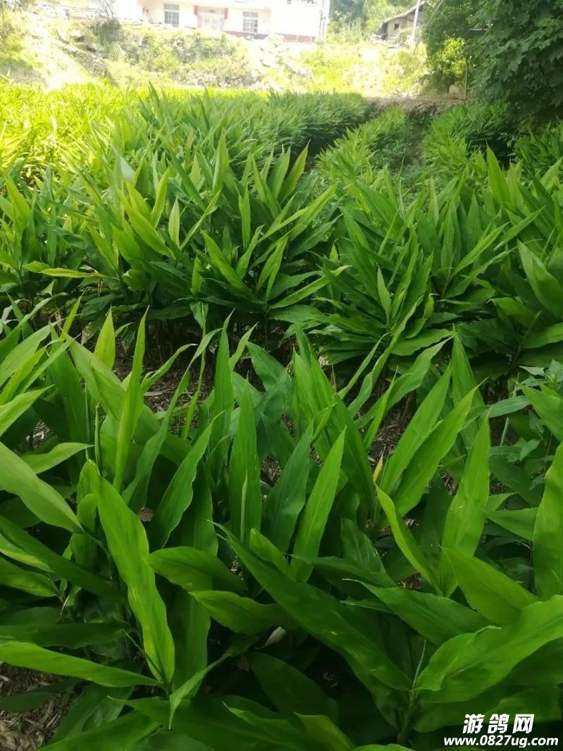 20190621_213399_1561069334856.jpg
