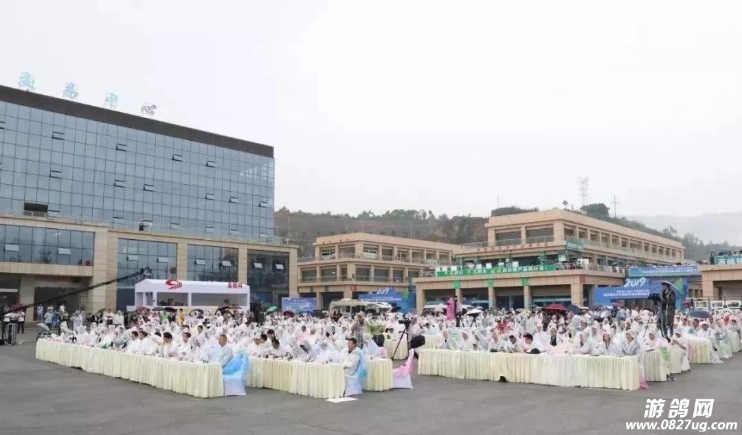 微信图片_20190628084735.jpg
