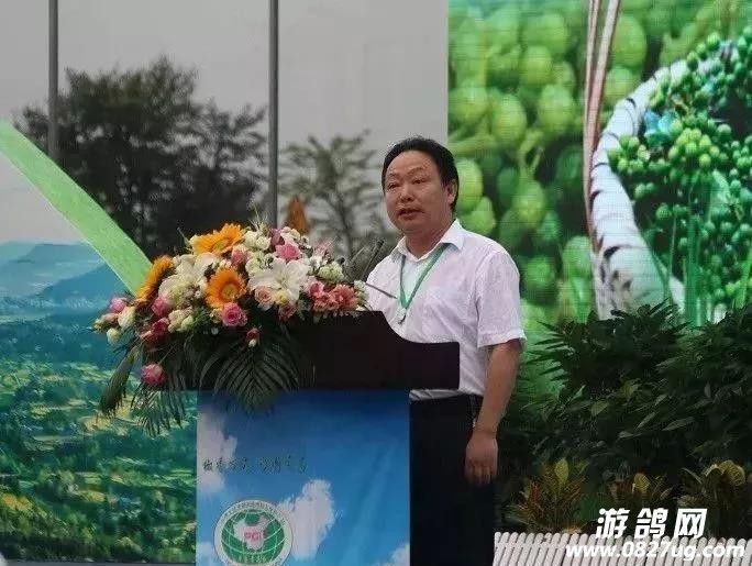微信图片_20190628084743.jpg