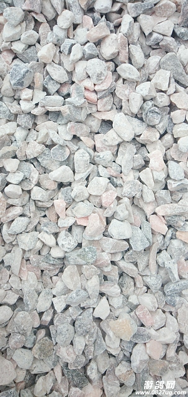 20190706_120407_1562378683944.jpg