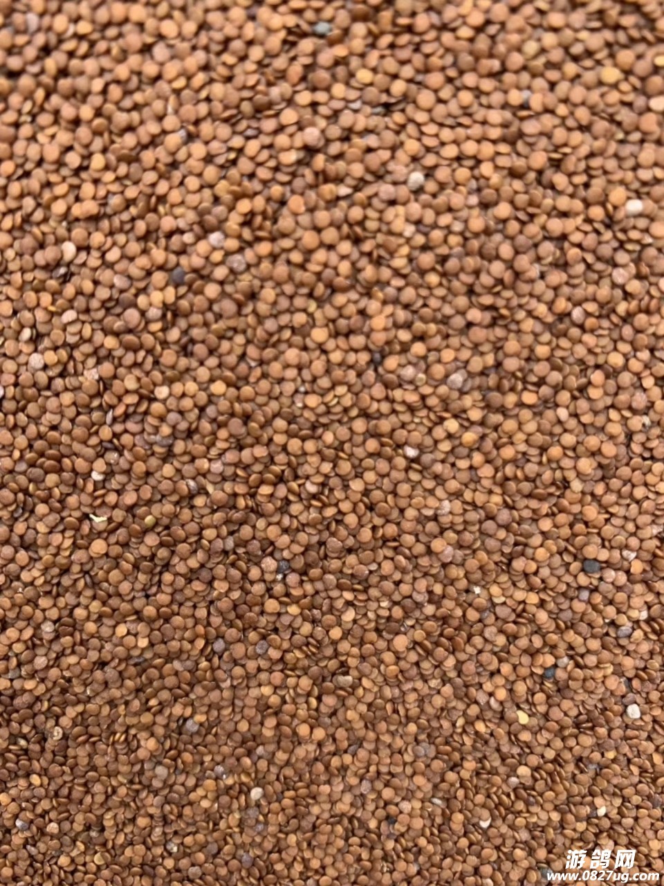 20190711_204433_1562849380580.jpg