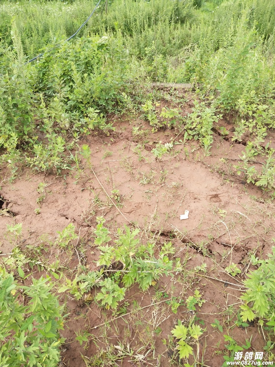 20190719_216180_1563505392771.jpg
