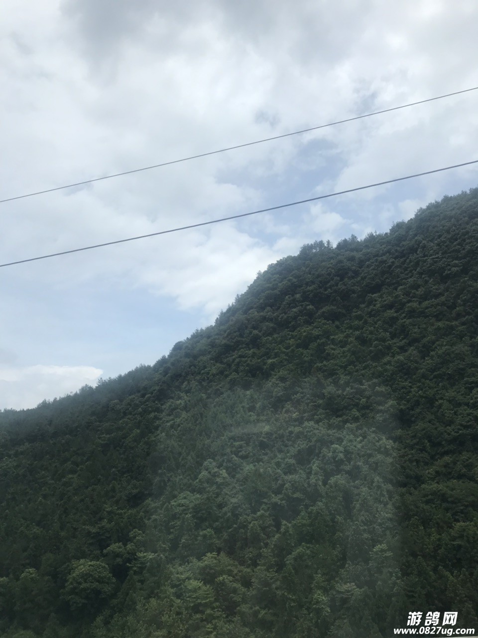 201907211930311563666958393693.jpg