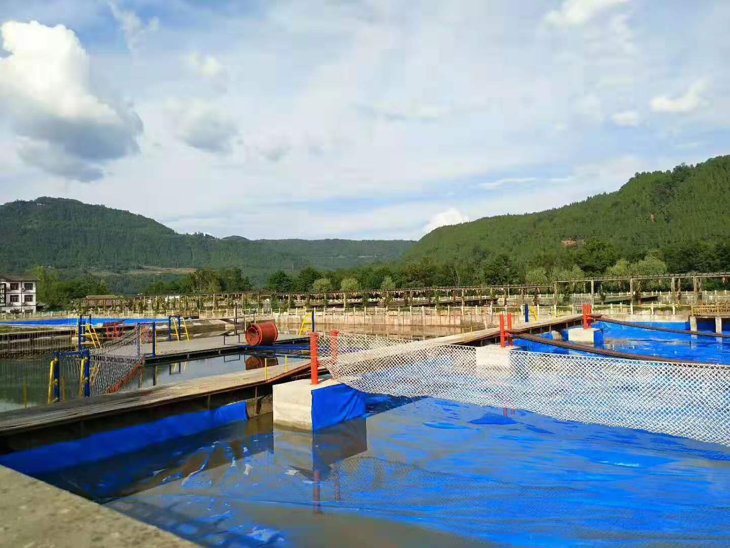 01.jpg