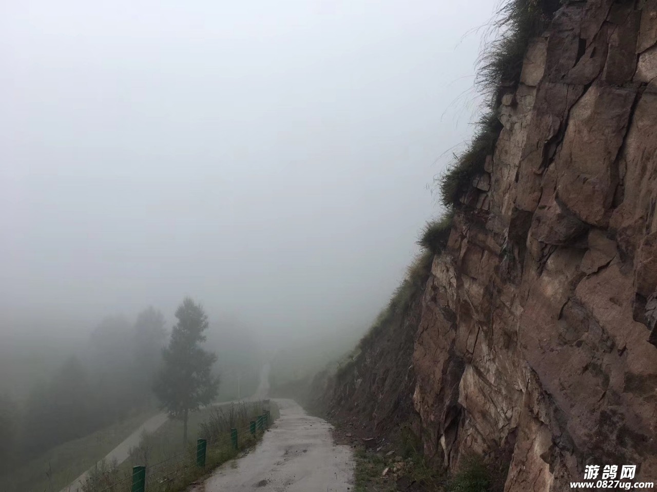 20190821_210408_1566381361664.jpg