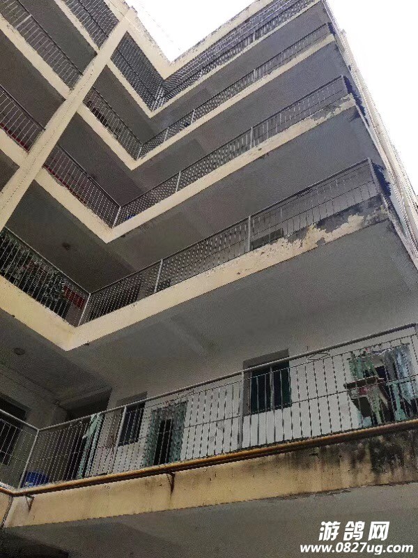 微信图片_20190902155326.jpg