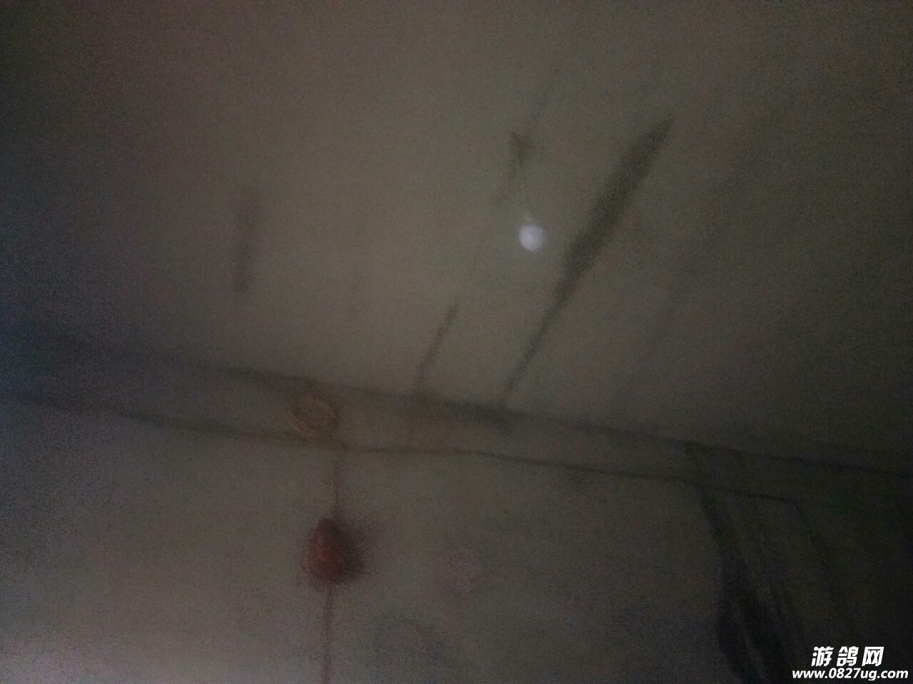 20190915_218118_1568506787965.jpg