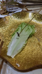 ΢ͼƬ_20191019112027.gif