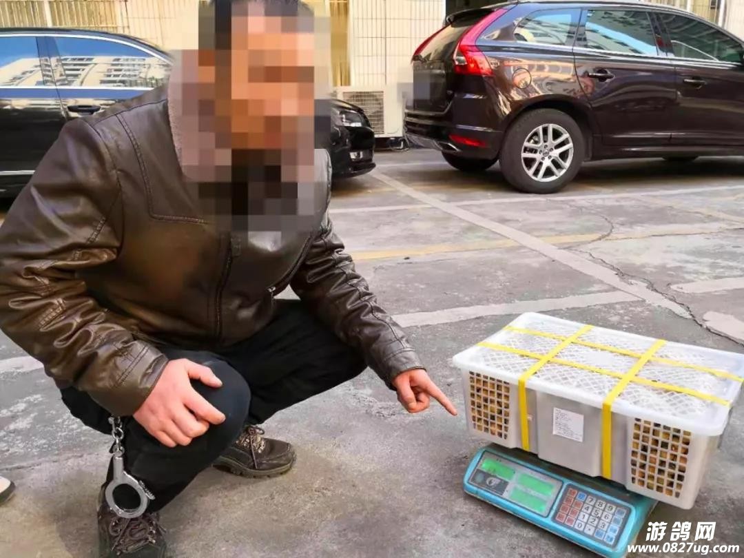 微信图片_20191217132428.jpg