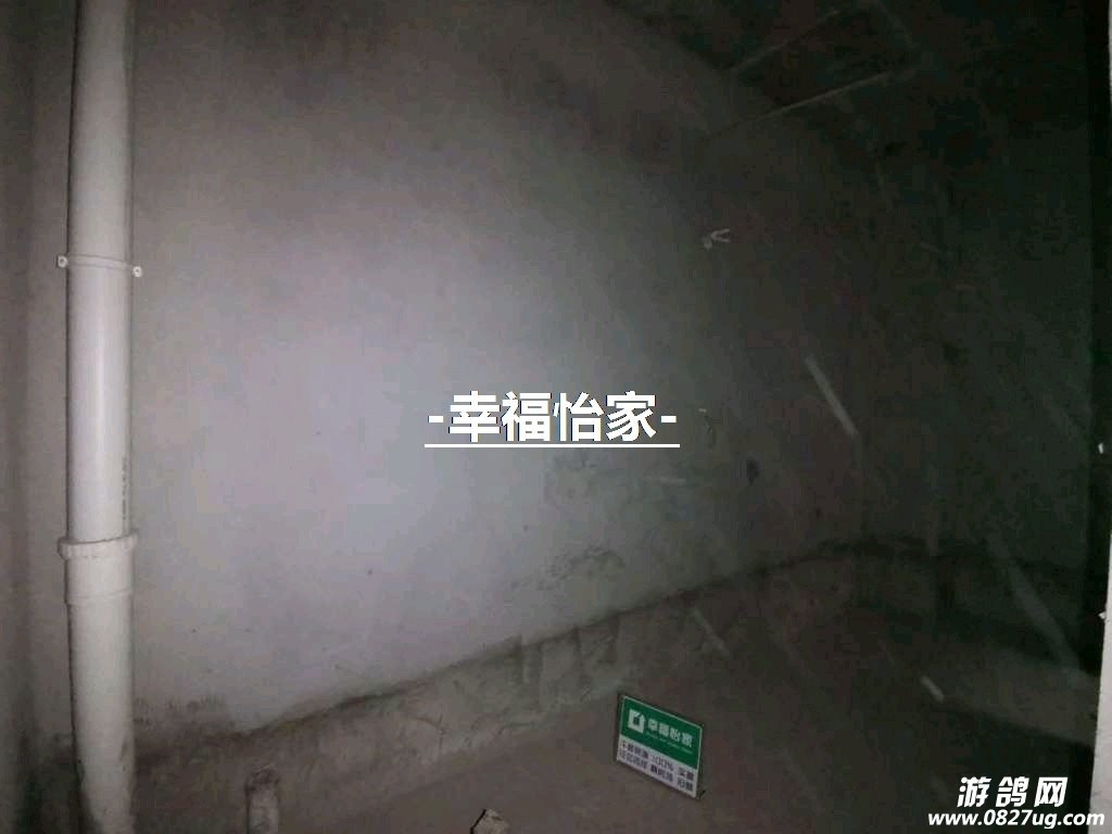 20191219_211503_1576747526114.jpg