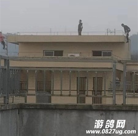 微信图片_20200122164639.jpg