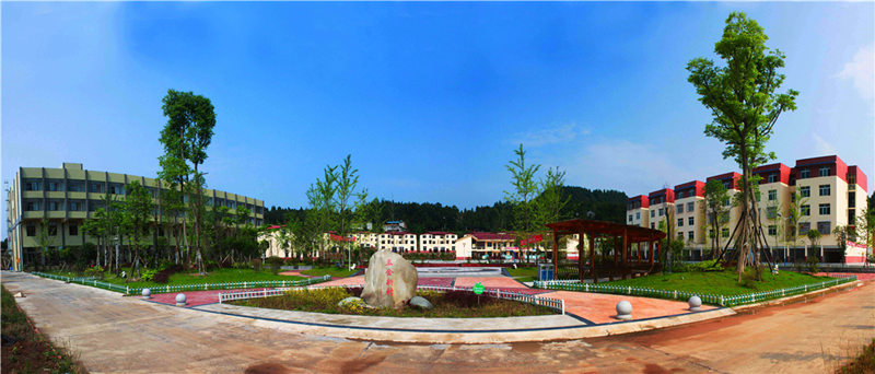 柳林镇玉金新村.png