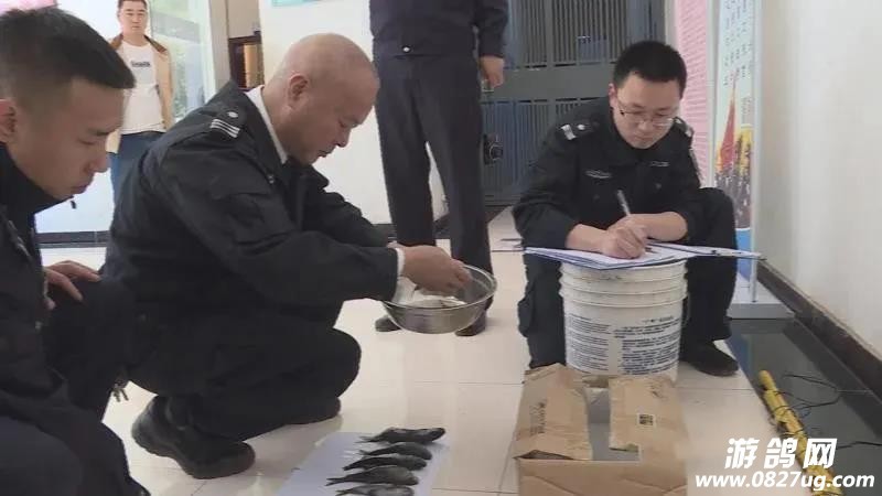 微信图片_20200428093327.jpg