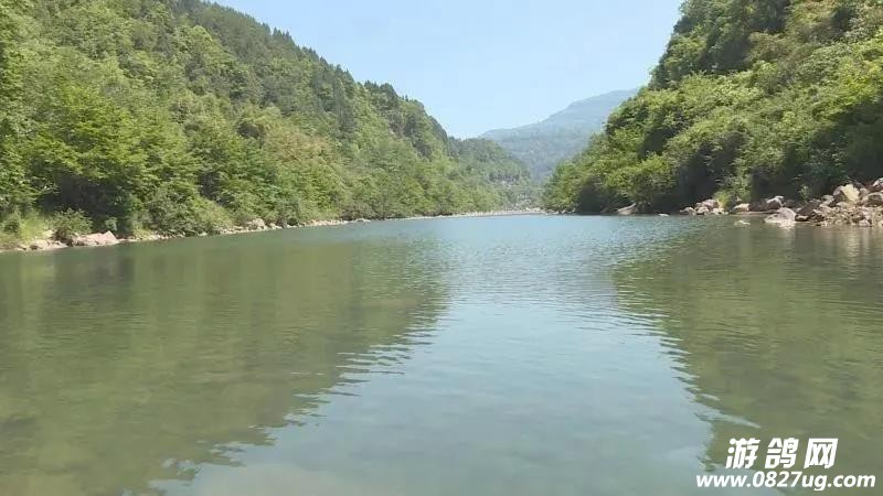 微信图片_20200428093332.jpg