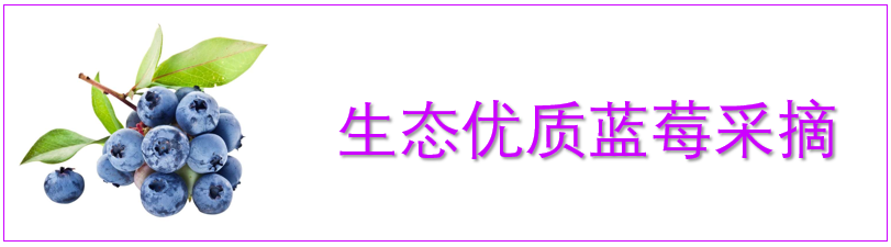 09.png