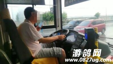 5d2edbd8622768bac3048223_640.jpg