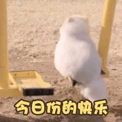 1.gif