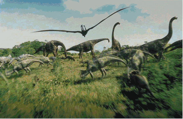 9.gif