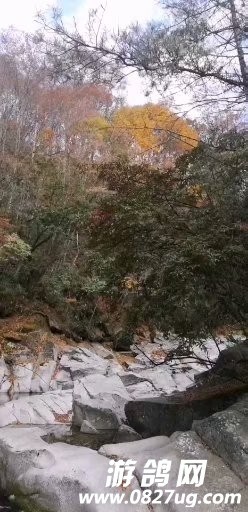 20200712_119649_1594518726147.jpg