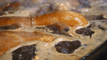 11.gif