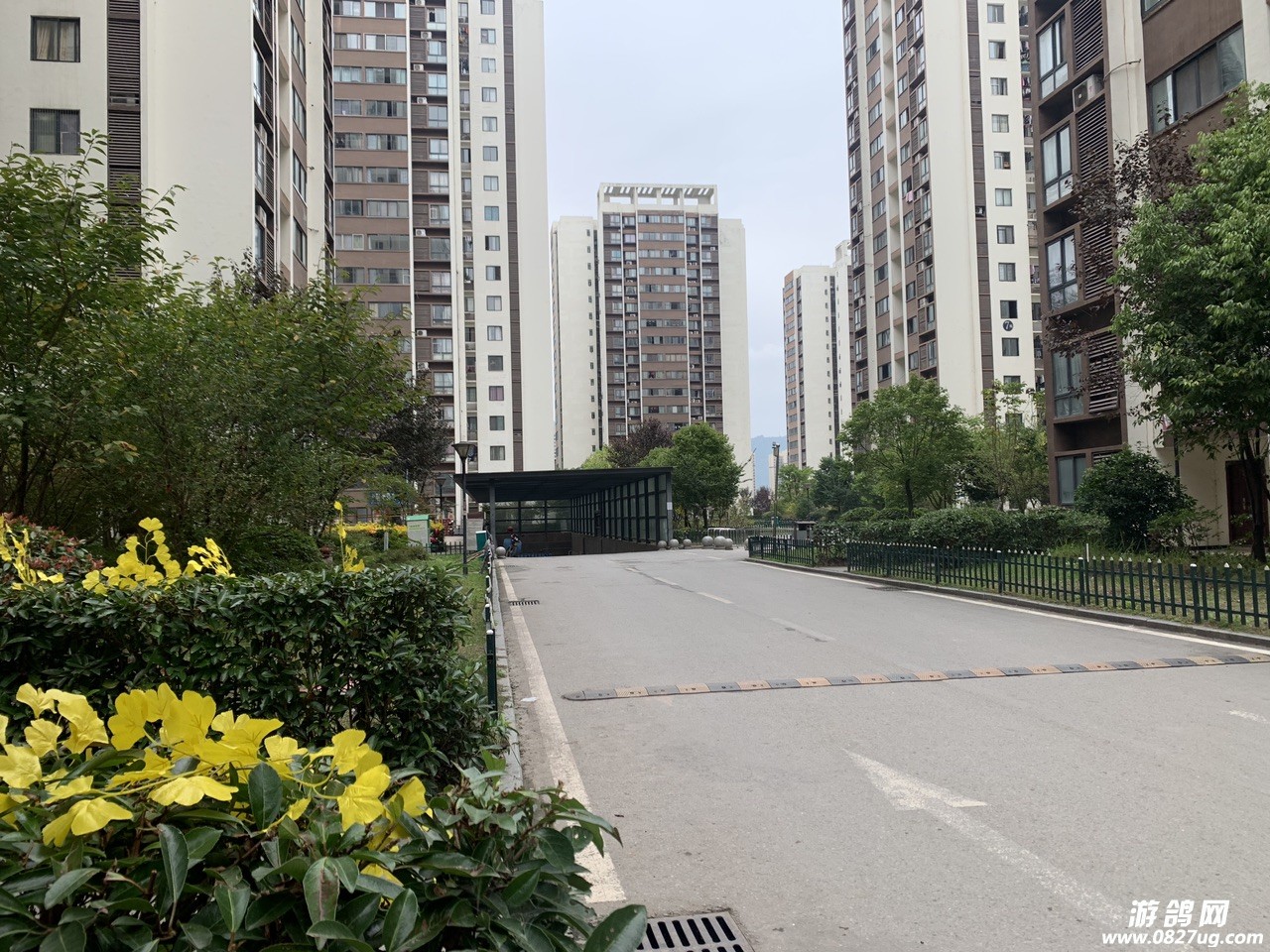 front1_0_FqxiRZdHK3iTWGRCAhQbEIRPhtxr.1606211340.jpg