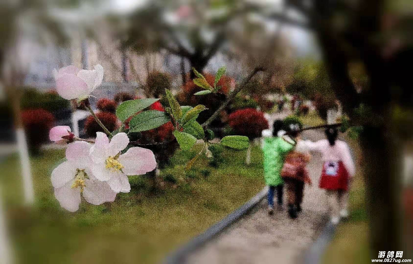 微信图片_20210309090553.jpg