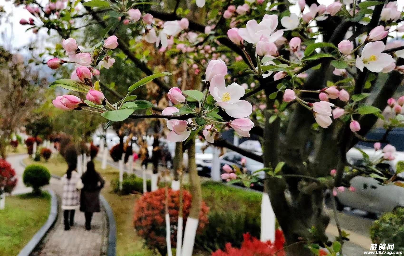 微信图片_20210309090531.jpg