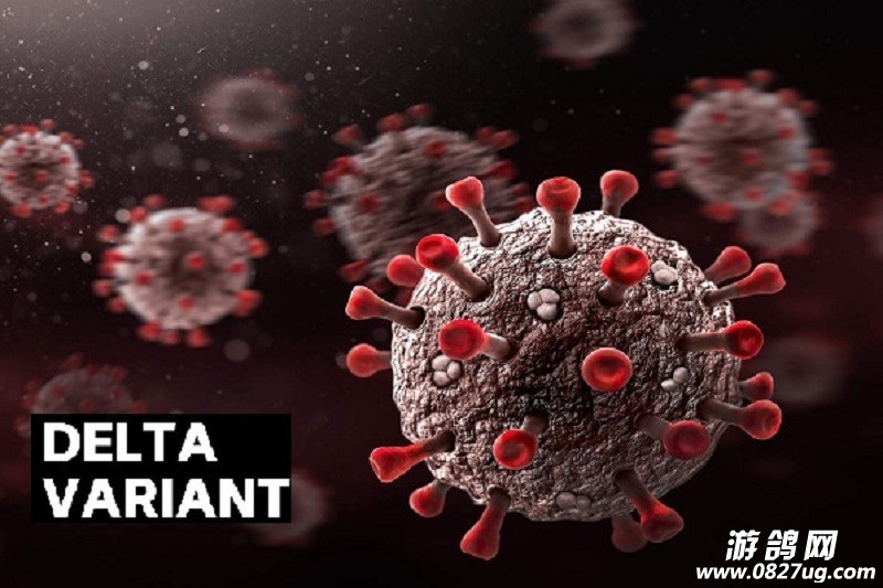 科普:什么是新冠变异病毒德尔塔毒株