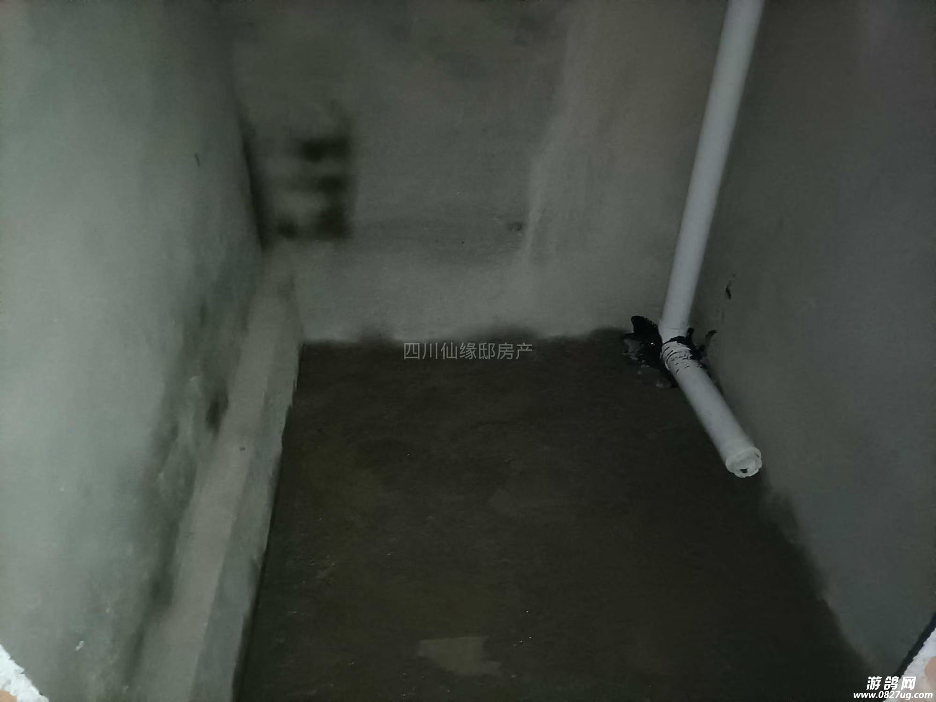 front1_0_Fjk9IMhTnM9r5kH8HGqJjcNKKP2Z.1629874459.jpg