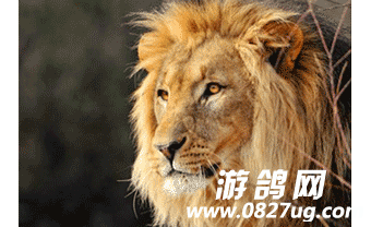 front2_0_144559_Fmn-iHPmRGQgCX91PkIX1OMUQIrH.1635482228_12_37_09.png