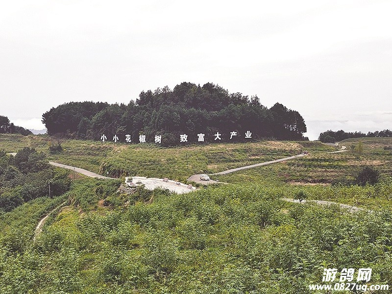 04.jpg