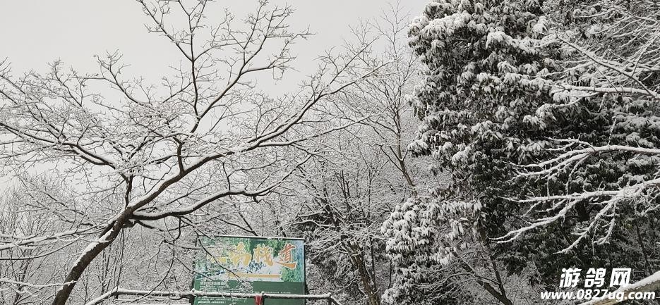 ΢Žͼ_20211227173629.jpg