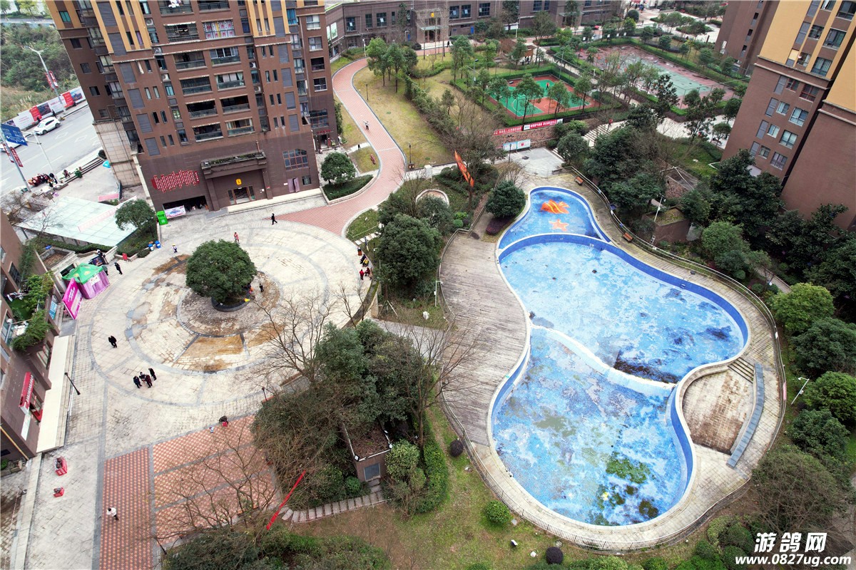 06.JPG